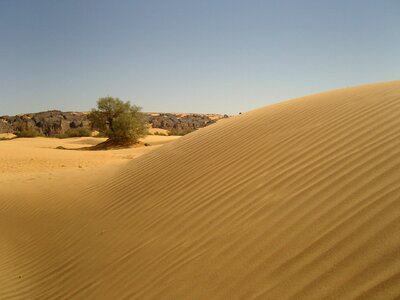 Sand dunes djanet photo