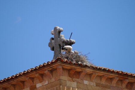 Building monument feathers