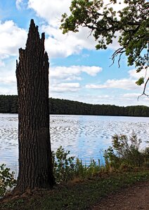 Water pond landscape