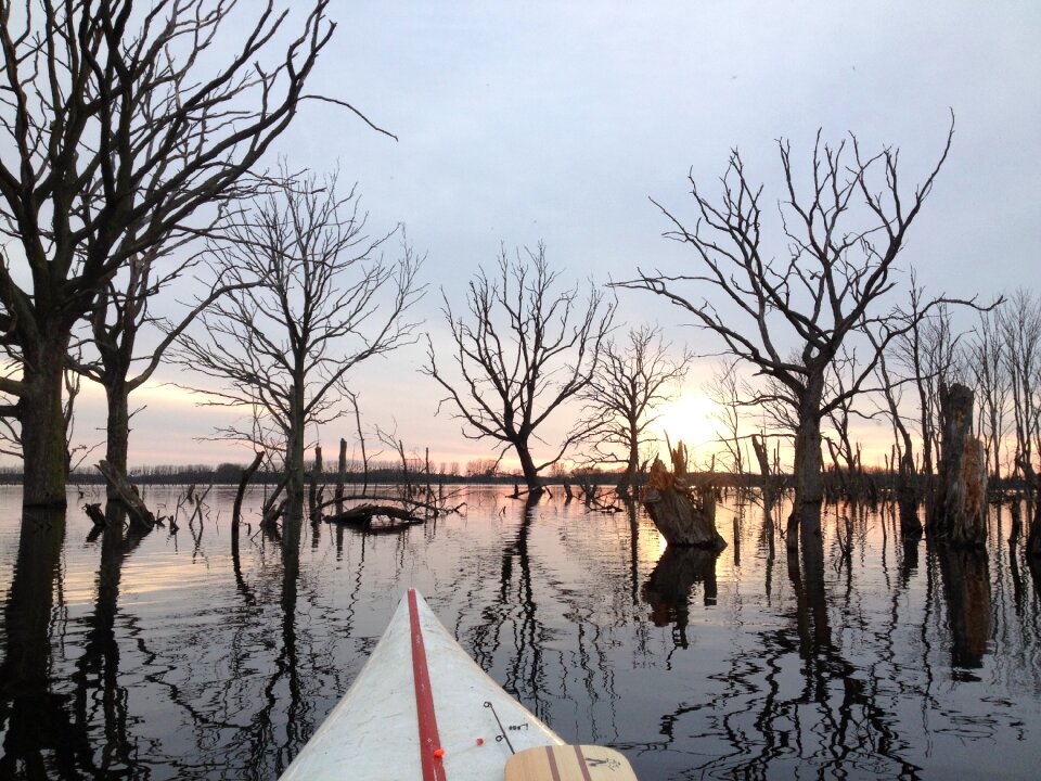 Landscape paddler canoeist