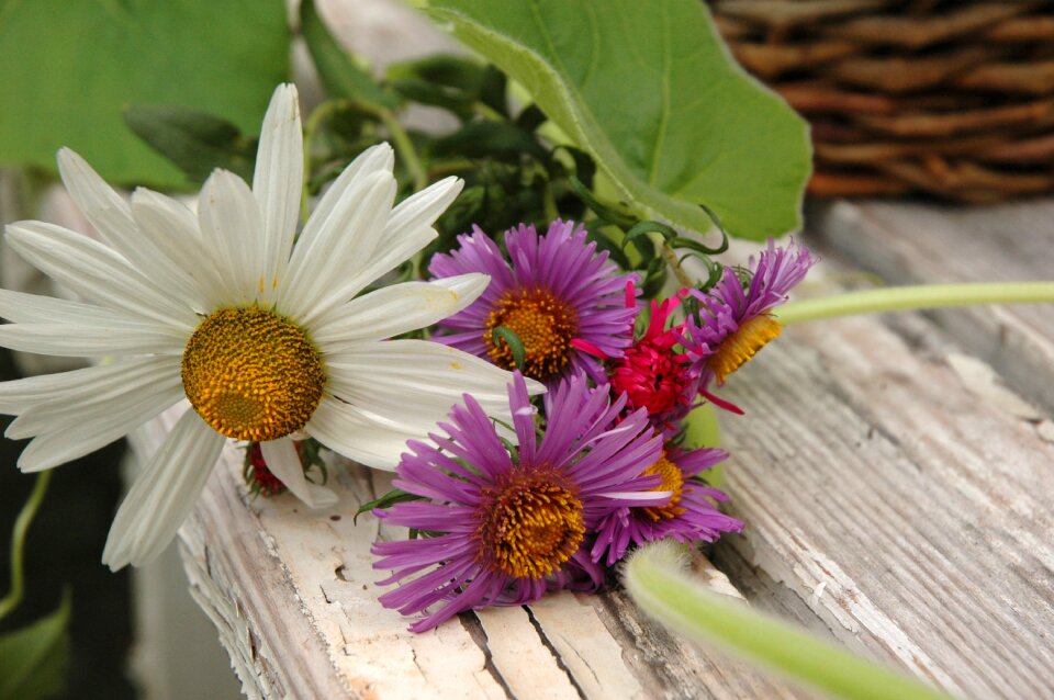 Nature floral garden