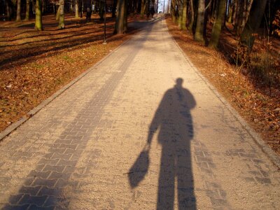 Jihlava shading autumn