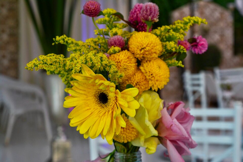 Yellow yellow flower decoration