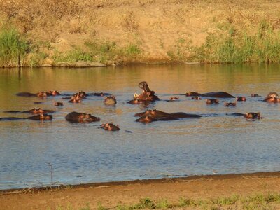 Water africa hard