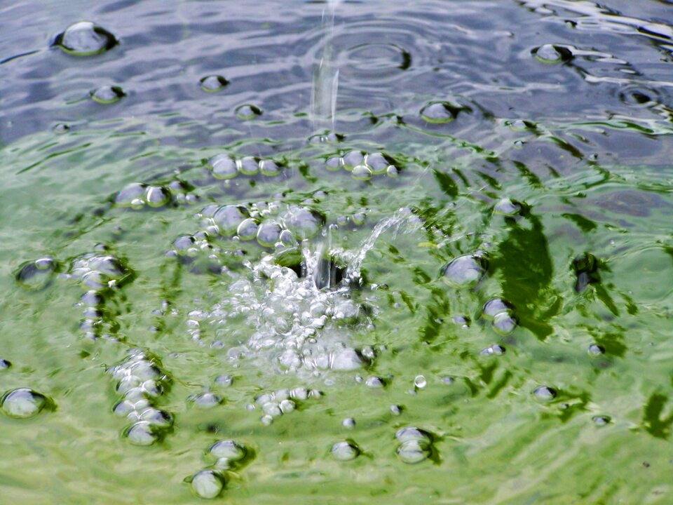 Ripple waves bubbles