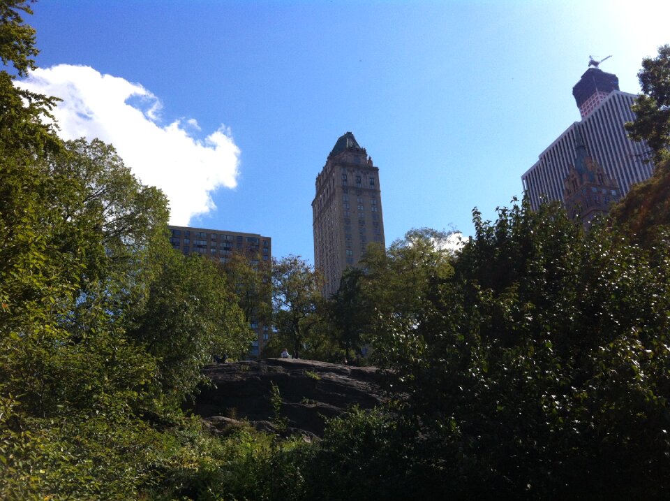 Nature rest new york city