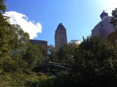 Nature rest new york city