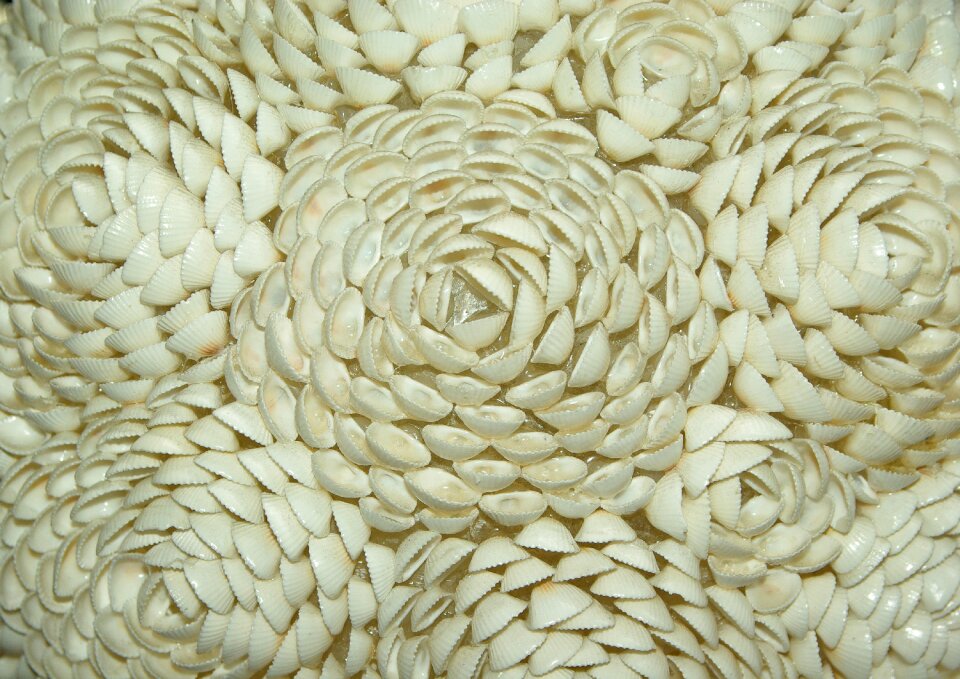 Flowers crafts polynesia