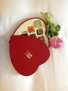 Lotus romantic valentine