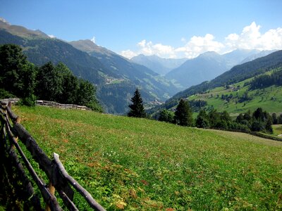 Landscape nature summer meadow