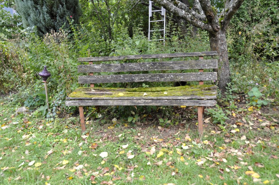 Moss garden bench rest