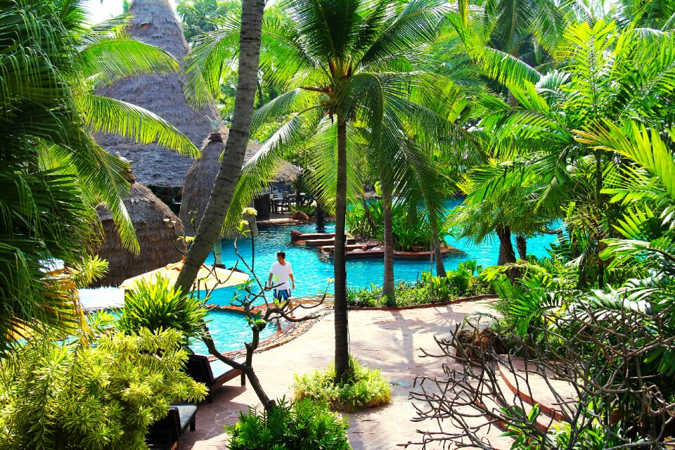 Swimming pool tree