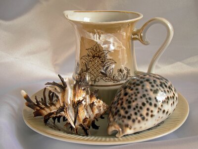 Tableware composition cup