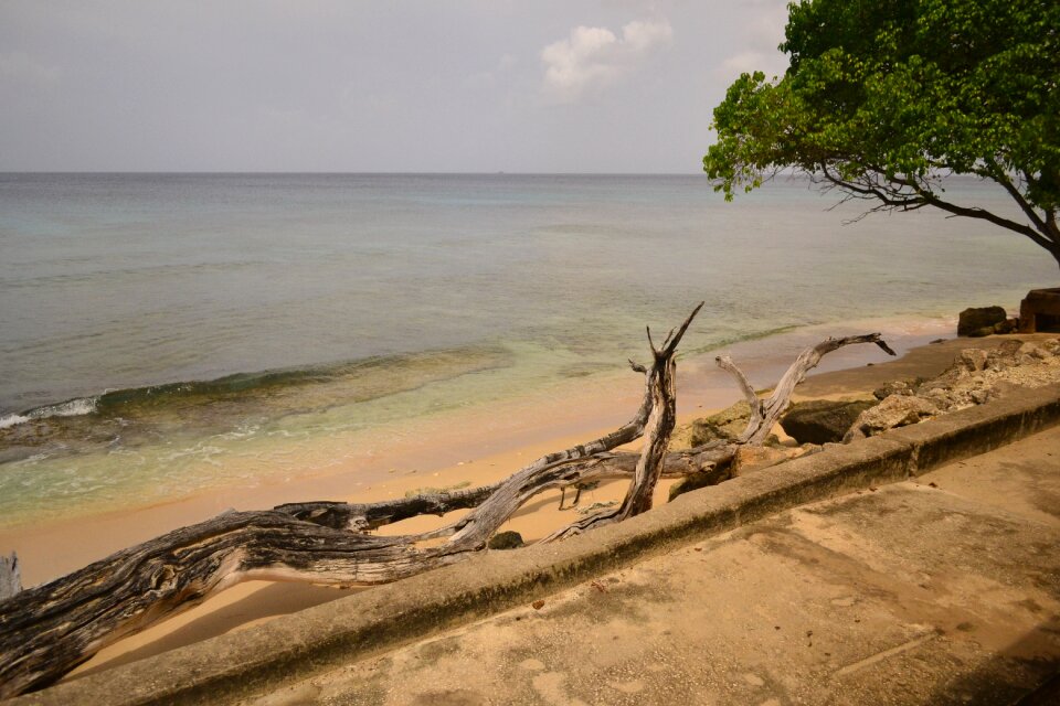 Beach paradise nature