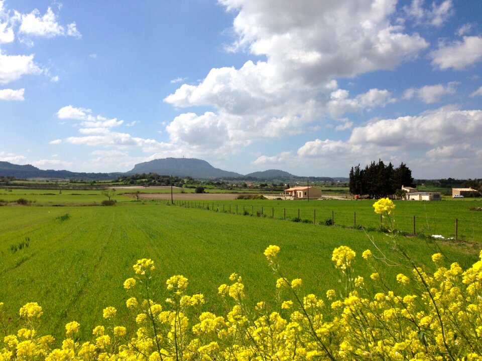 Meadow randa mountain