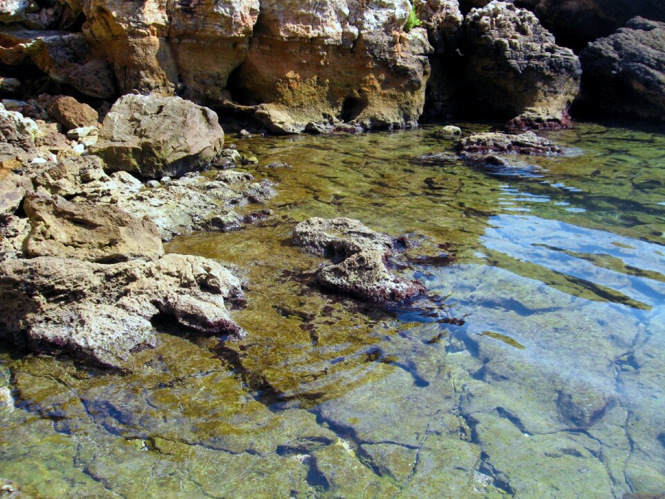 Bulgaria sea nature