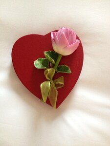 Lotus flower valentine engagement photo