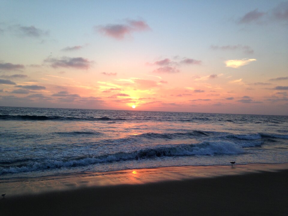 Beach coast nature