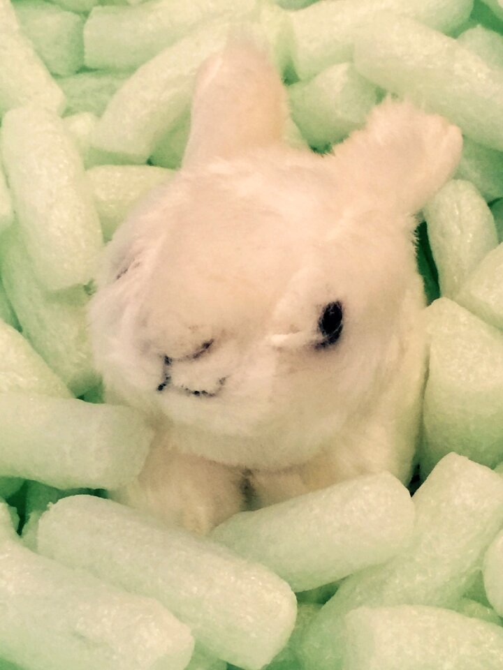 Rabbit figure cute