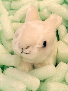 Rabbit figure cute