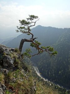 Sokolica top landscape photo