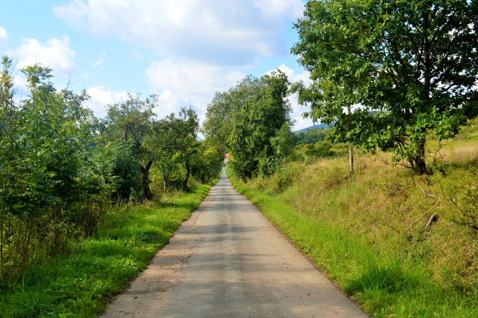 Green avenue path