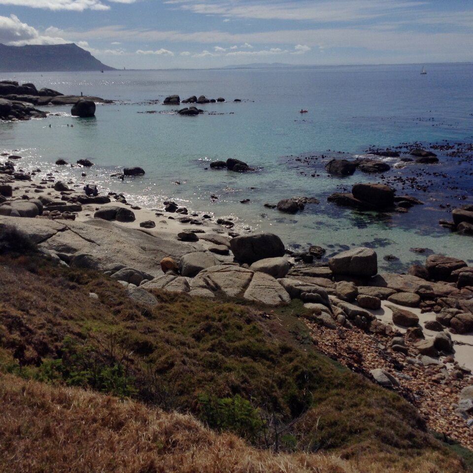 Beach ocean nature