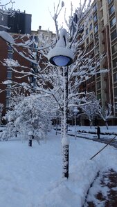 Apartment building winter tree