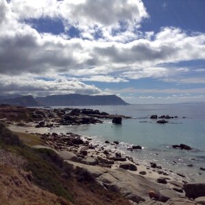 Beach ocean nature