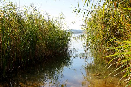 Lake entry into the water balaton