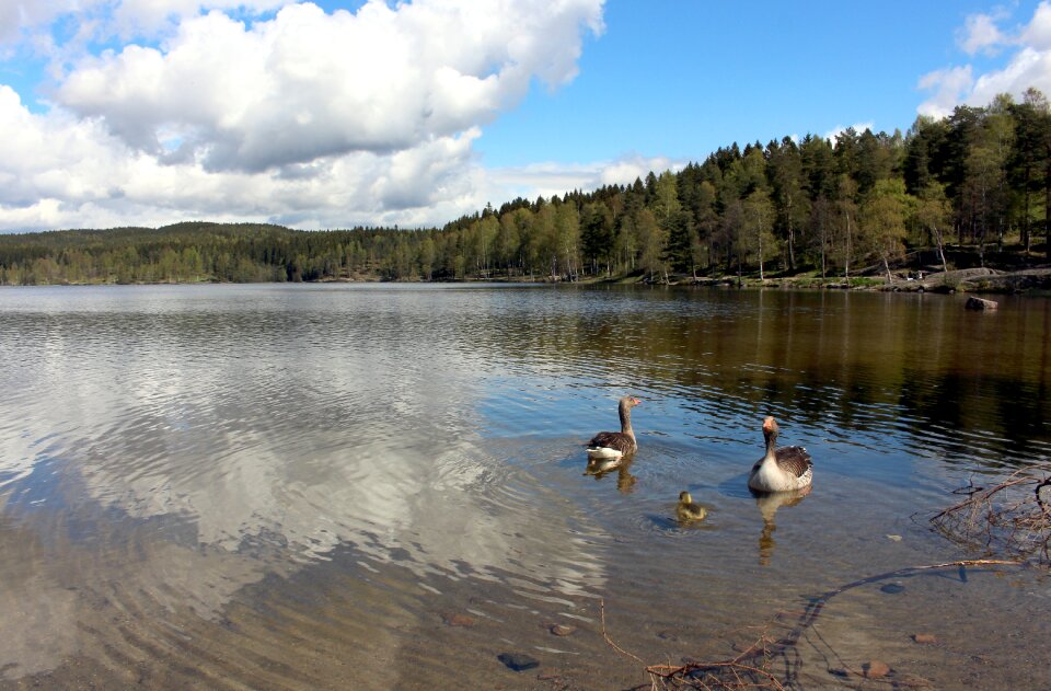 Visitoslo rest romance