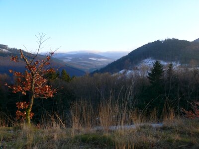 Winter hochsauerland landscape