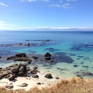 Beach ocean nature