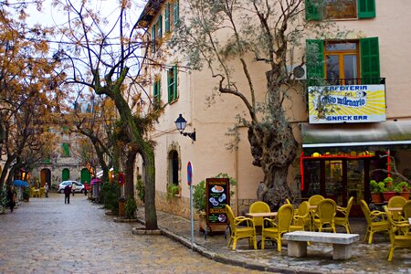 Autumn after rain mallorca photo