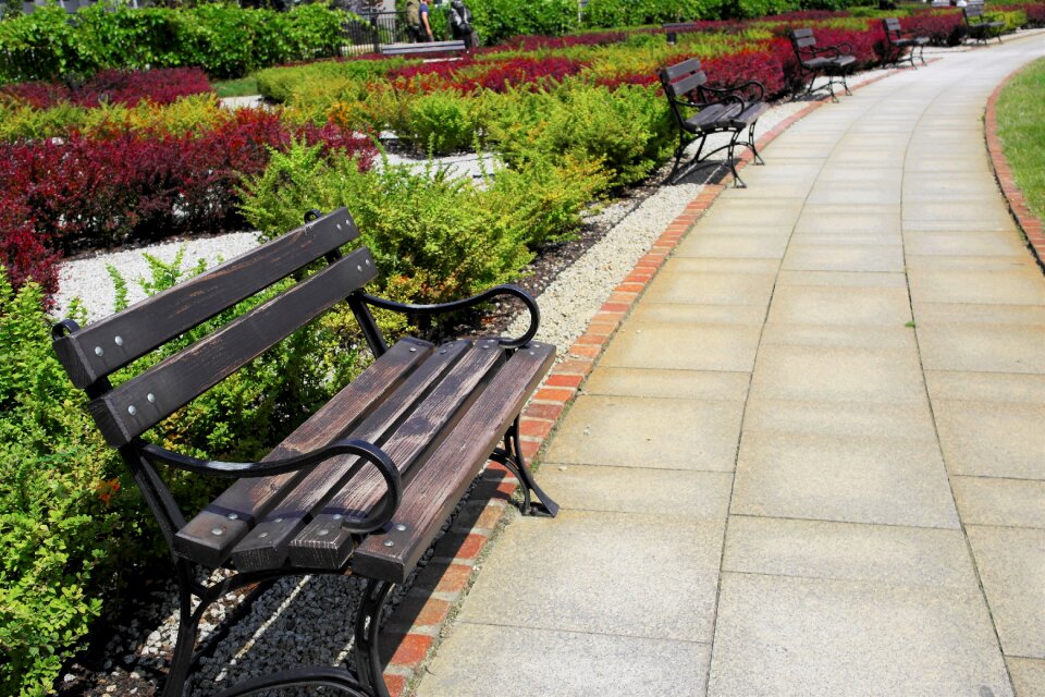 Bench the path park