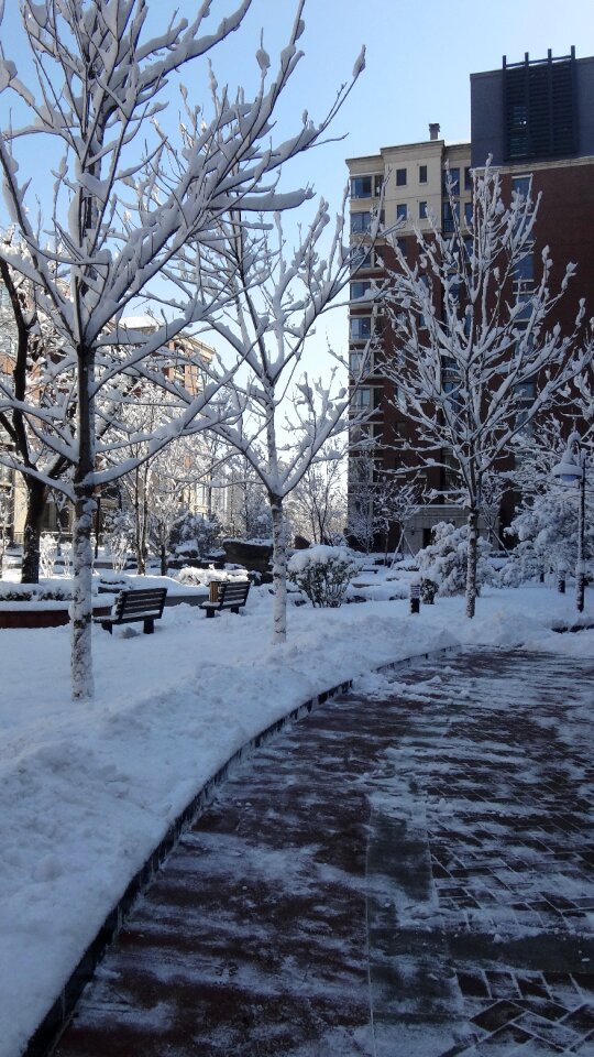 Parking footpath winter
