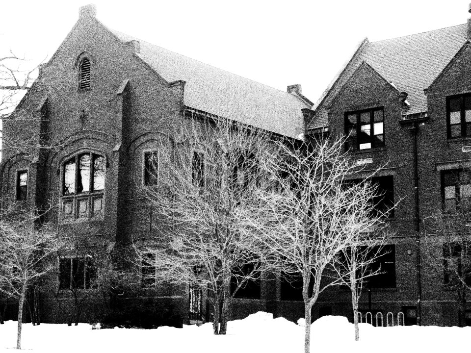Trees old building
