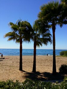 Sun sand water
