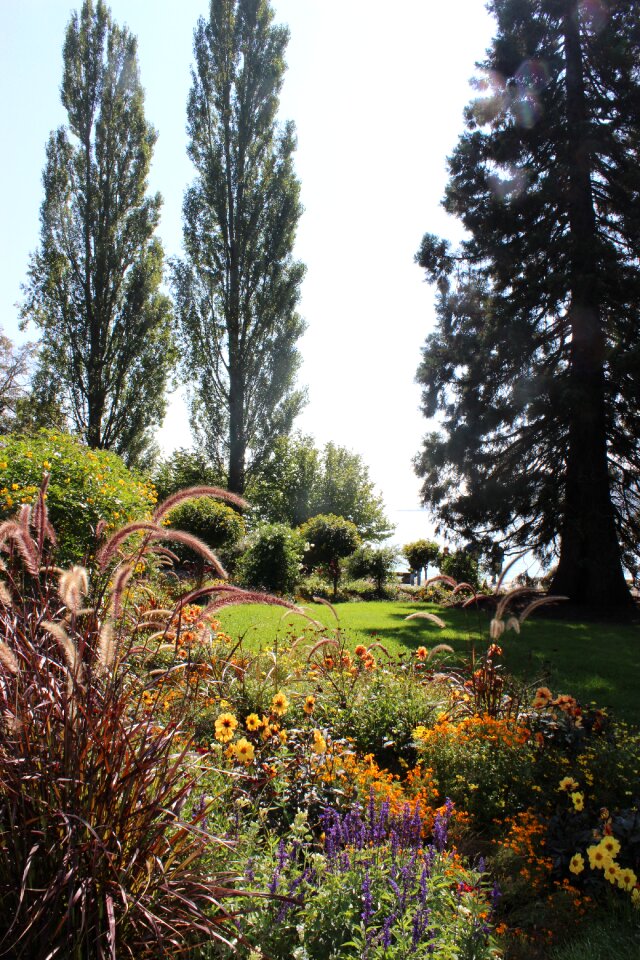 Lake view planted