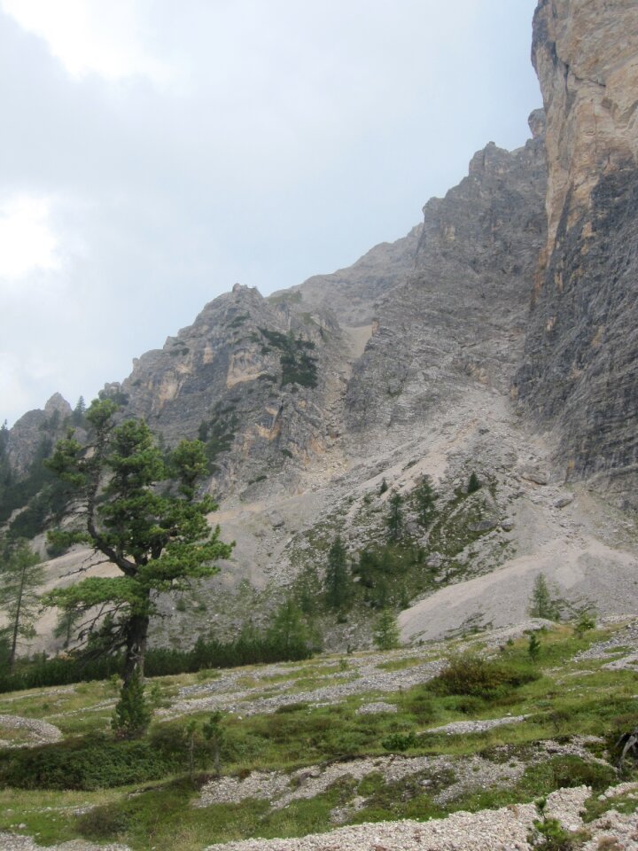 Nature forest italy