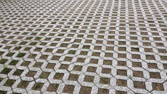 Embarrassed park concrete