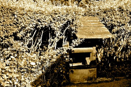Well sepia garden
