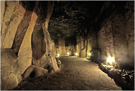 Attraction visitor attraction dark