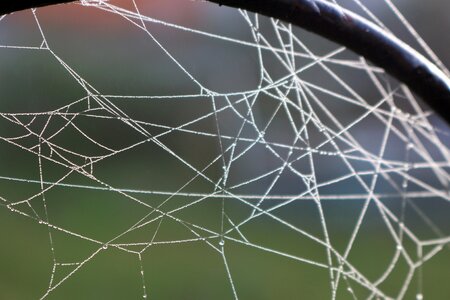 Cobwebs dewdrop morgentau