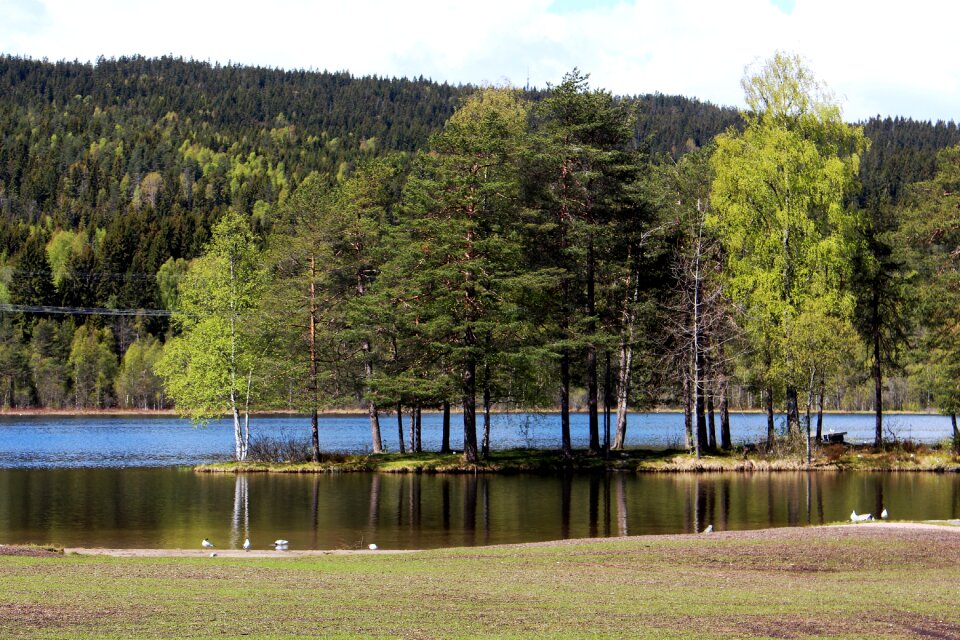 Visitoslo romance rest