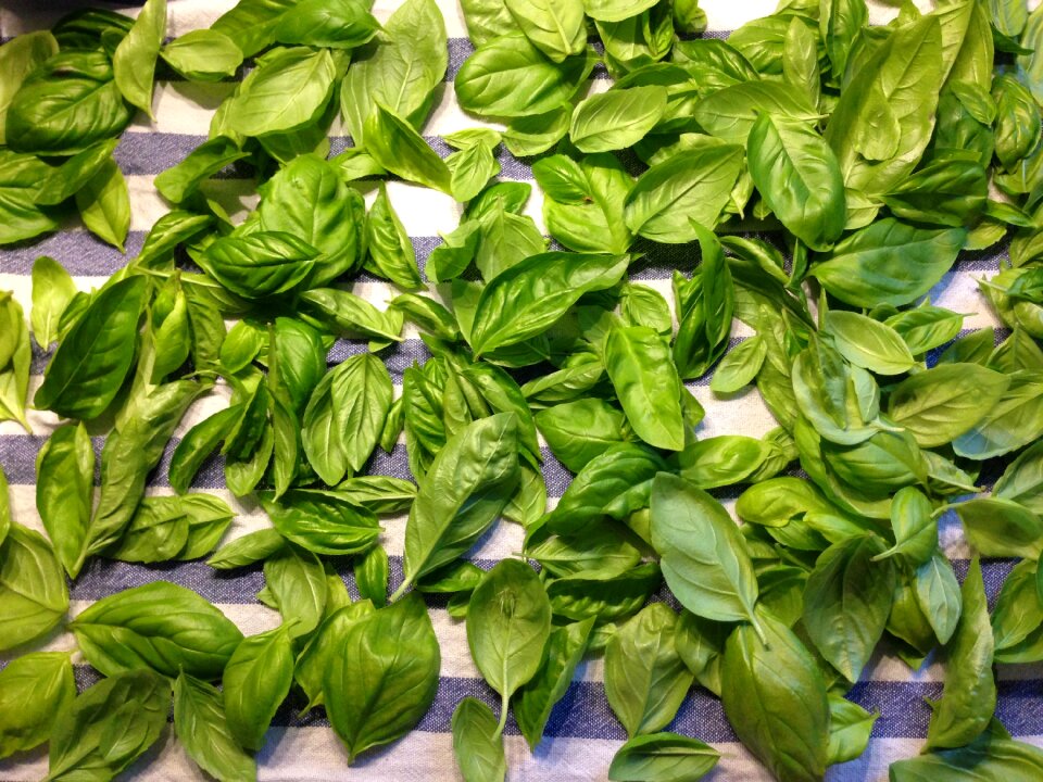Fresh healthy eat