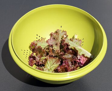 Colander green plastic mesh
