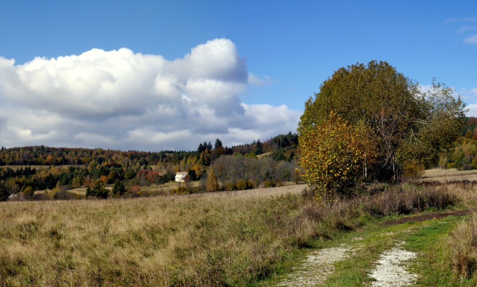 Javorie autumn forest