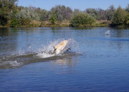 Splash dive water