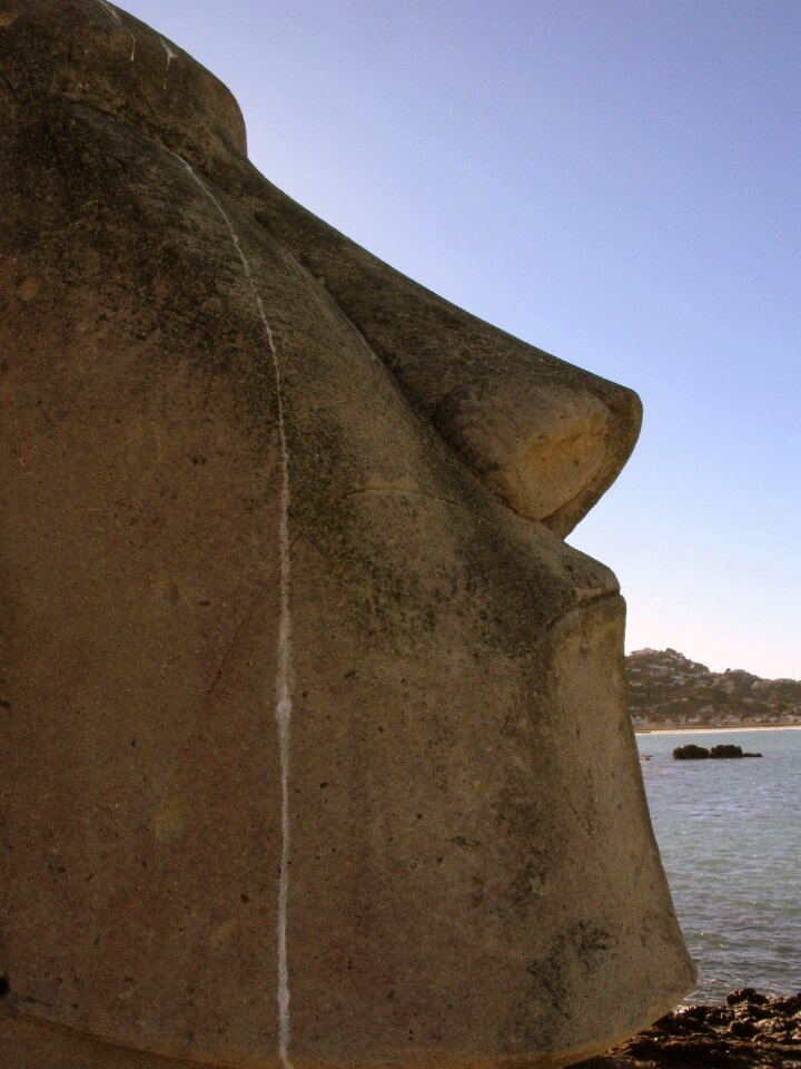 New zealand head tears